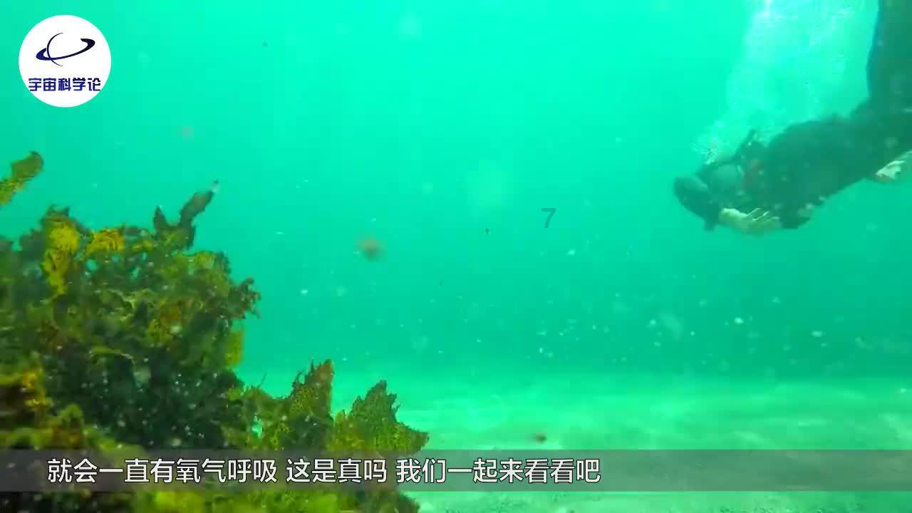 楚留香